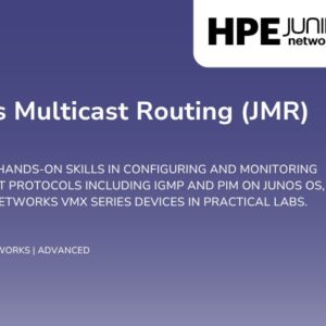 Junos Multicast Routing (JMR)